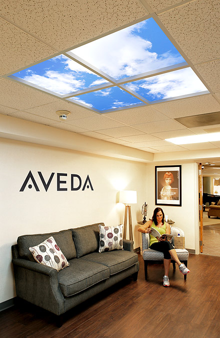 Aveda Bee Hive Salon