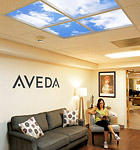 Aveda Bee Hive Salon