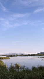 Summer, Late Afternoon, Benson Pond, Oregon