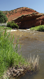 Summer, Little Popo Agie River, Wyoming