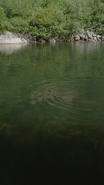 Summer Trout Pool, Sinks Canyon, Wyoming