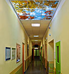 Marienstift 病院（ドイツ）