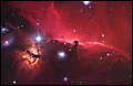 Star Ceiling se-rg013 by Robert Gendler